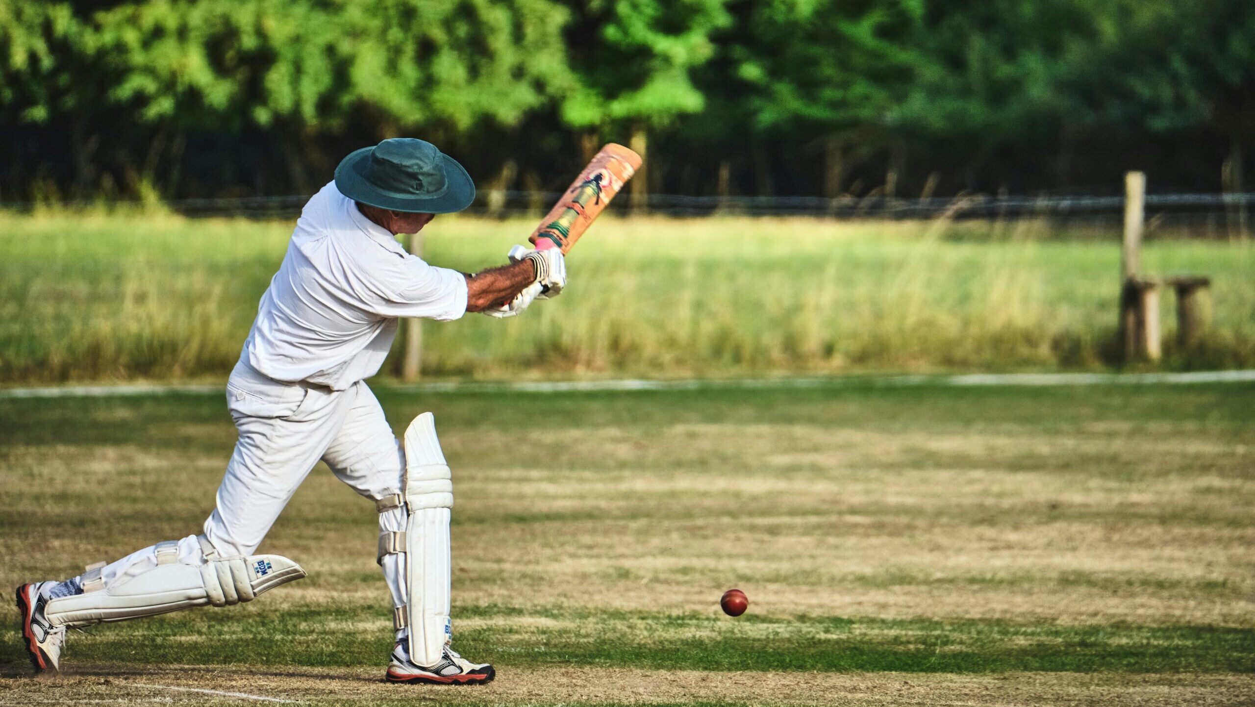 Cricket & Cultural Potluck